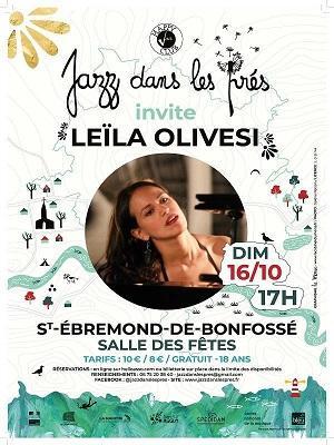 Agrandir l'image - fenêtre modale