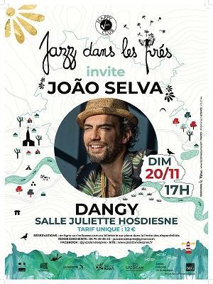 Agrandir l'image - fenêtre modale