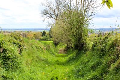 Agrandir l'image - fenêtre modale