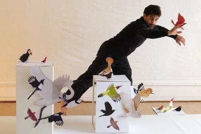 Agrandir l'image - fenêtre modale